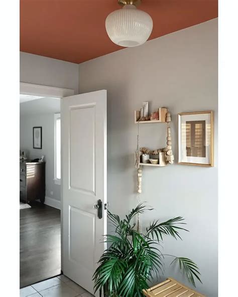 Sherwin Williams Cavern Clay Sw Paint Color