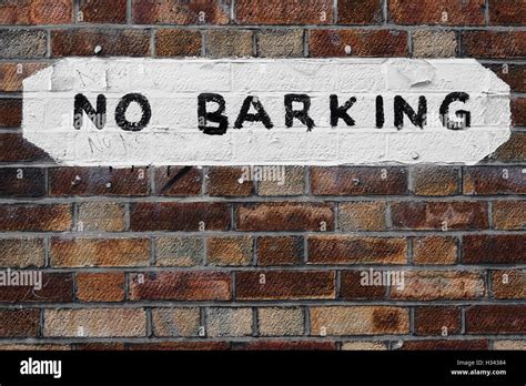 Brick Wall In Shoreditch London With Painted No Parking Sign On White