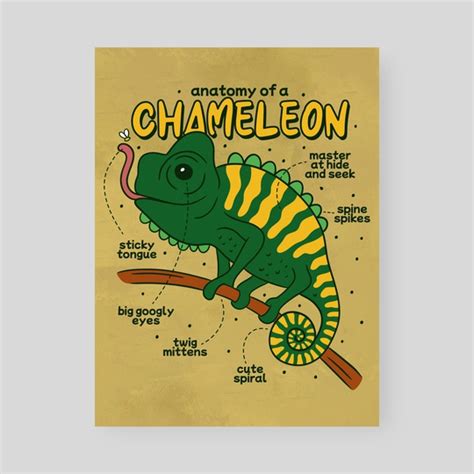 Chameleon Anatomy, an art print by Pretty Pixels - INPRNT