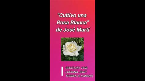 Poema Cultivo Una Rosa Blanca Actividad Escolar Youtube