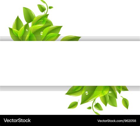 Leaf Banner Royalty Free Vector Image Vectorstock