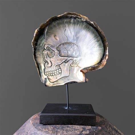 Beautiful Hand Carved Mother Of Pearl Shell Human Skull Catawiki