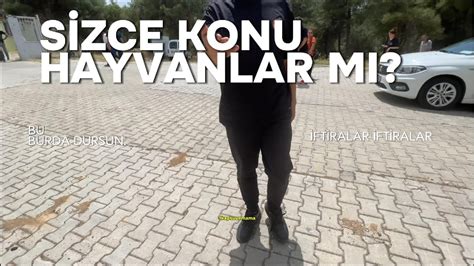 Konu Sadece Hayvanlar M Kahramanmara Youtube