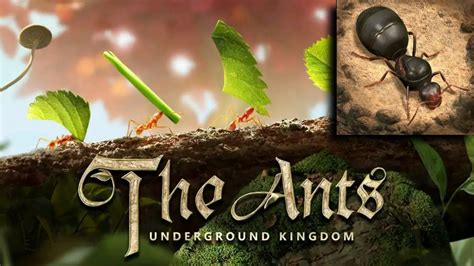 The Ants Underground Kingdom Gameplay Ep1 YouTube