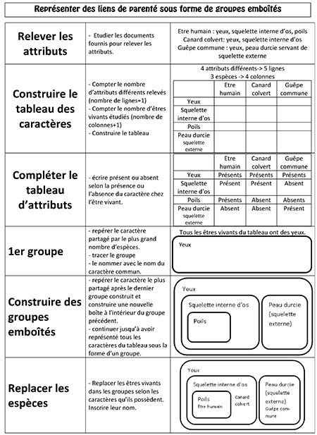 Sciences De La Vie Et De La Terre Repr Senter Des Liens De Parent