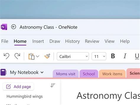 Microsoft Onenote 2022