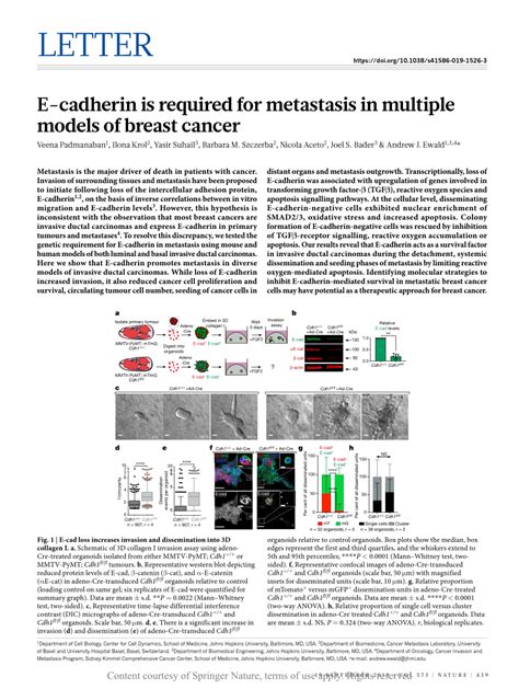 E Cadherin Is Required For Metastasis In Multiple Models Of Breast