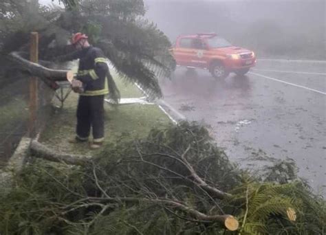 Granizo E Vendaval Causam Quedas De Rvores E Destelhamentos Em S O