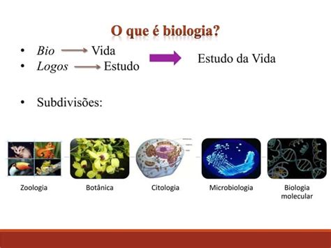 Aula 01 Introdução A Biologia E Características Dos Seres Vivos Constituintes Inorgânicos