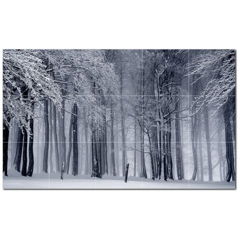 Picture Trees Photo 6 X 6 Satin Ceramic Decorative Mural Wayfair