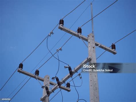 kv stock photo  image  biological process blue