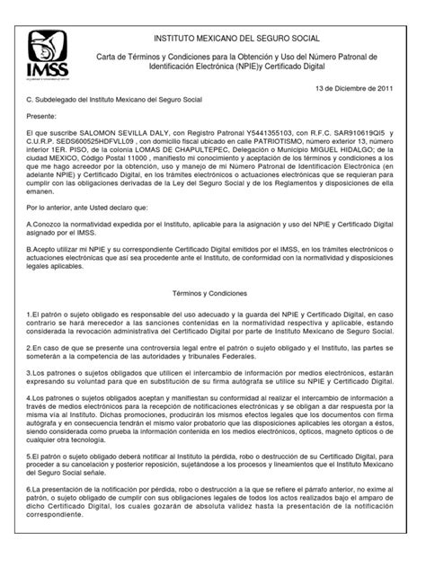 Carta Terminos Y Condiciones