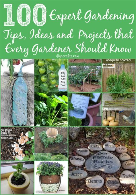 Expert Gardening Tips Ideas And Projects That Every Gardener