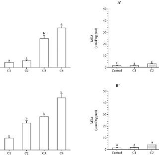 Malondialdehyde MDA Content In Gills A And B And Digestive Glands