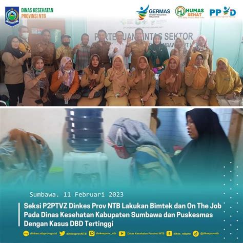 Dinkes Ntb Lakukan Bimtek Dan On The Job Training Di Dinas Kesehatan