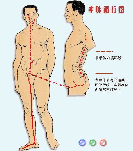 任脉为地、督脉为天、冲脉为隘、带脉为缚，一脉灸一穴，妇科永不来！