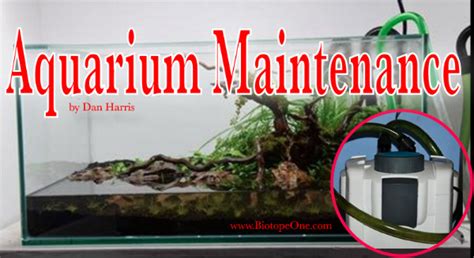 Aquascaping Maintenance Schedule Biotope One