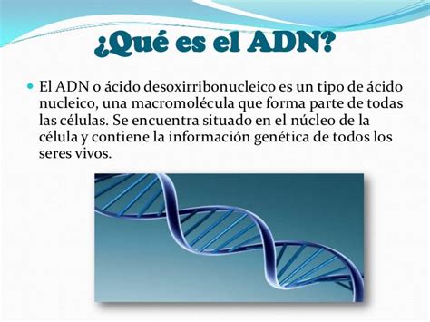 Adn Dnaácido Desoxirribonucleico