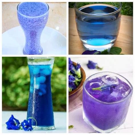 Dried Blue Butterfly Pea Flower Tea Organic Herbal Leaf Clitoria