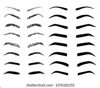 Eyebrow Shapes Illustration Set Various Types Stock Vector Royalty