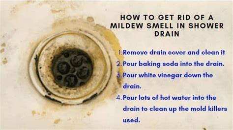 How To Remove Musty Smell From Shower Drain Home Design Ideas