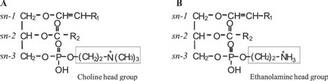 Chemical structure of target plasmalogen (Pls). Fatty alcohols are... | Download Scientific Diagram