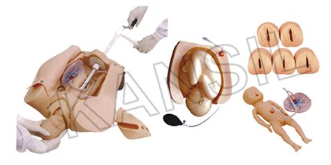 Advanced Abdominal Palpation And Mechanism Model At Best Price In New