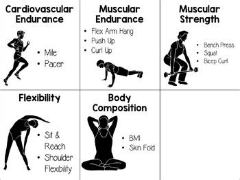 Components Of Fitness