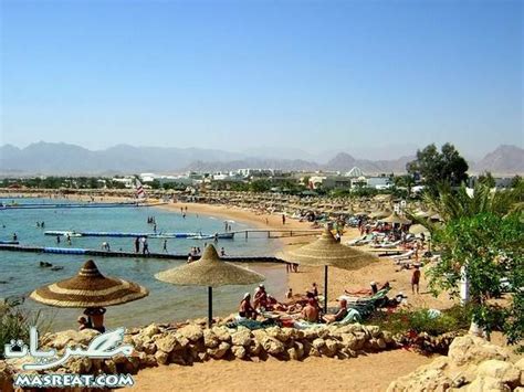 السياح يسترخون على الشاطئ في شرم الشيخ sharm-elsheikh