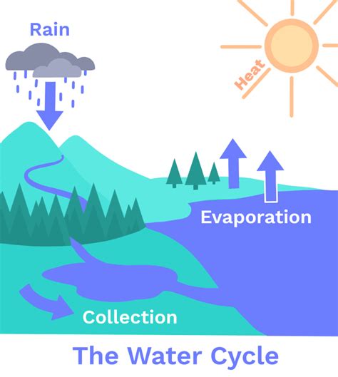 Water Cycle How Does Water Move Around The Earth Climatescience