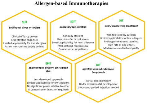 Food Allergens: When Friends Become Foes—Caveats and Opportunities for
