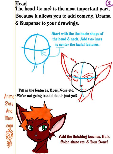 How To Draw Furries Volume 1 Basics Etsy