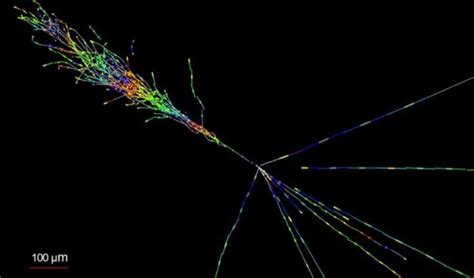 Los Cient Ficos Captan La Primera Part Cula De Neutrino Fantasma En El