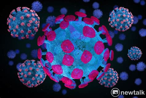 新型變異株「jn 1 」傳播力較強強 專家示警：恐釀新冠下波疫情高峰 生活 Newtalk新聞