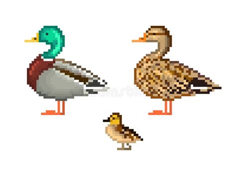 Pixel Duck Stock Illustrations 522 Pixel Duck Stock Illustrations