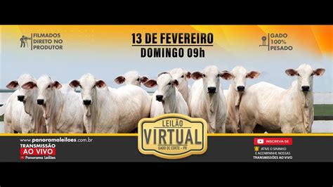 Leil O Virtual Gado De Corte Youtube