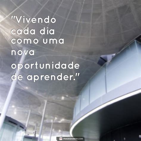 Frases Para Biografia Em Inglês