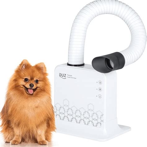 The Best Dog Hair Dryer - Which One Is RIGHT For Your Pet?