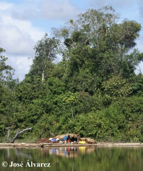 El Ecosistema De Tahuampa Retos Y Oportunidades Para Las Comunidades