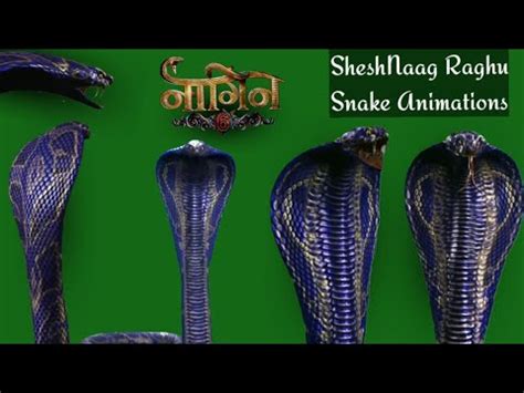 Naagin 6 Shesh Naag Raghu Snake Animations On Green Screen Naagin 6 Ep