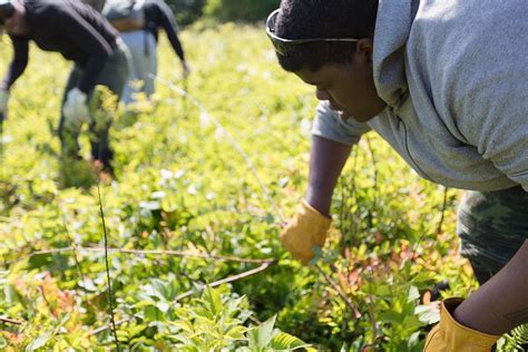 Groundwork Rvas Green Team Free Photo Rawpixel