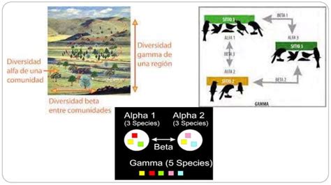 Exposicion De Biodiversidad Pptpptx