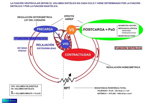 Función ventricular WebFisio