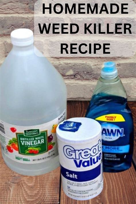 Easy Homemade Weed Killer Recipe Artofit