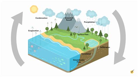 What Is The Hydrologic Cycle Video