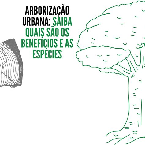 Arborização Urbana Saiba Quais São Os Benefícios E As Espécies