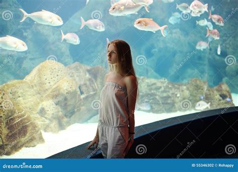 Woman In The Aquarium Looking On Fishes Stock Photo Image Of Fish