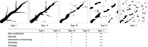 Figure From Visualizing The Hepatic Vascular Architecture Using