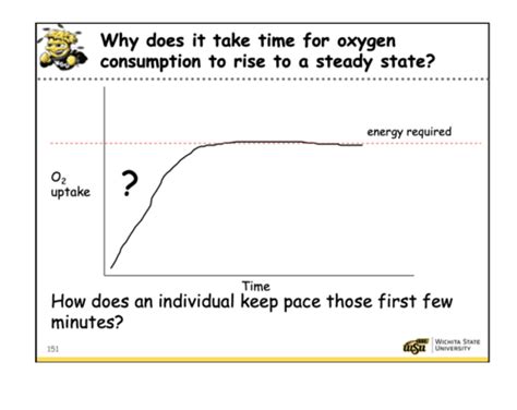 Exam Metabolism Flashcards Quizlet