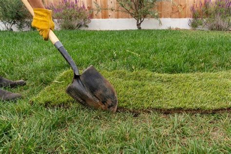 How To Fix Patchy Grass And Bare Spots In Your Lawn